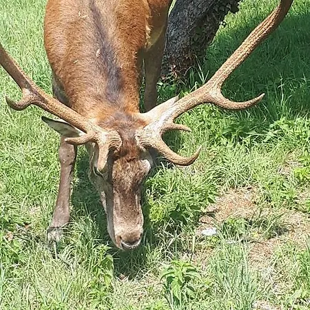 Nocleg ze śniadaniem B&be Tollo