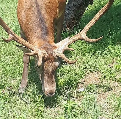 Bed and Breakfast B&be Tollo